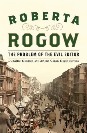 Cover of the book The Problem of the Evil Editor by Craig Rice