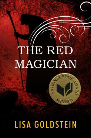 Book cover of The Red Magician