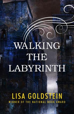 Cover of the book Walking the Labyrinth by Dorothy Simpson