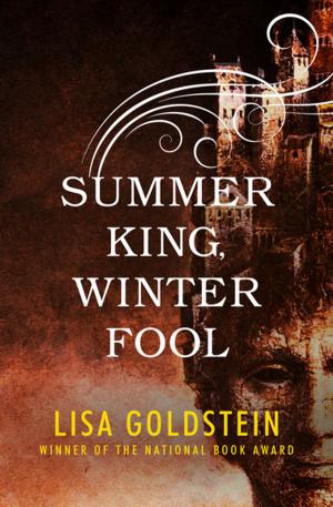 Cover of the book Summer King, Winter Fool by Poul Anderson