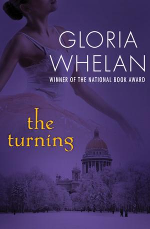 Cover of the book The Turning by Victor Bockris