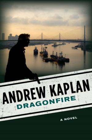 Cover of the book Dragonfire by Drew Howell