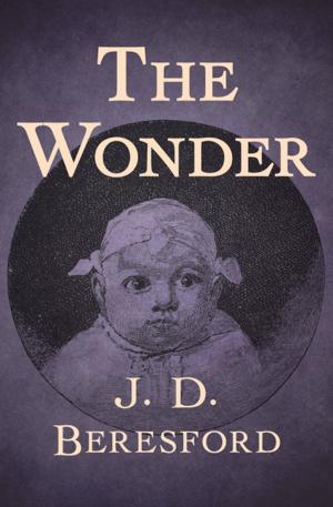 Cover of the book The Wonder by Hannah Howell