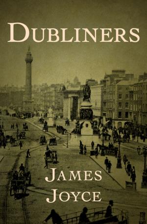 Cover of the book Dubliners by Daniel Stern