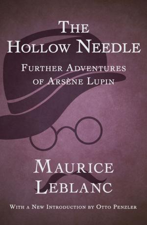 bigCover of the book The Hollow Needle by 