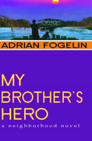 Cover of the book My Brother's Hero by Adrian Fogelin