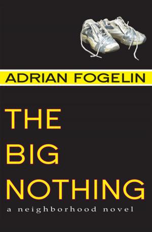 bigCover of the book The Big Nothing by 
