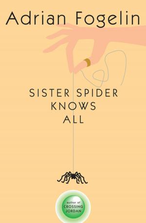 Cover of the book Sister Spider Knows All by Adrian Fogelin