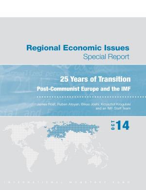 Cover of the book Regional Economic Issues--Special Report 25 Years of Transition: by James Mr. Boughton
