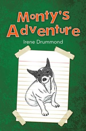 Cover of the book Monty's Adventure by Phillip Turner
