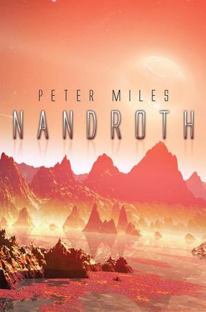 Cover of the book Nandroth by Bob Šabla?ura