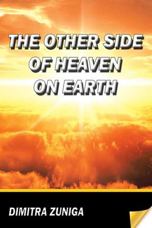 Cover of the book The Other Side of Heaven on Earth by Peter R Fitton