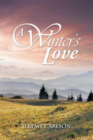 Cover of the book A Winter's Love by Robert E. Denton
