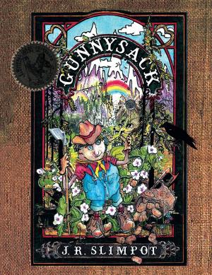 Cover of the book Gunnysack by Doris Washington