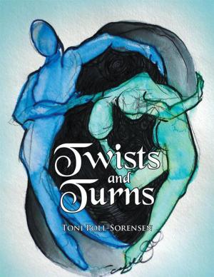 Cover of the book Twists and Turns by David Ocasio