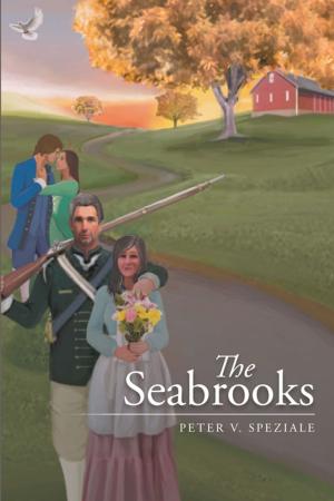 Cover of the book The Seabrooks by Joseph Ifeanyi Monye