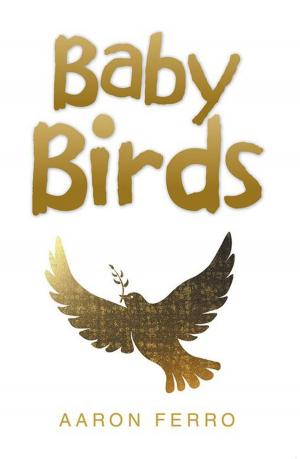 Cover of the book Baby Birds by Sebastian Deya
