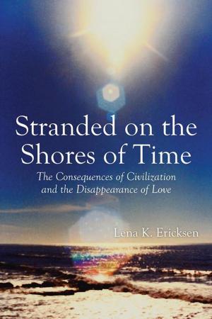 Book cover of Stranded on the Shores of Time