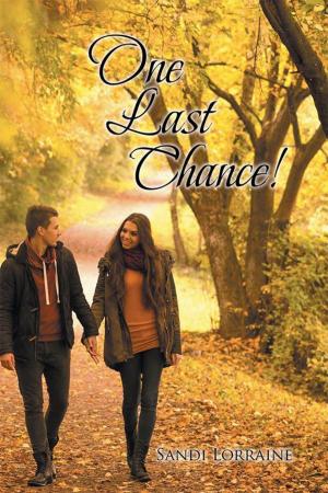 Cover of the book One Last Chance! by RJ Ferguson Jr.