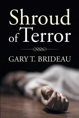 Book cover of Shroud of Terror