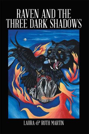 Cover of the book Raven and the Three Dark Shadows by Barbara Letts Blodgett