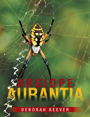 Cover of the book Argiope Aurantia by Rabbi Yitz Wyne