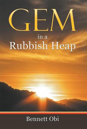 Book cover of Gem in a Rubbish Heap