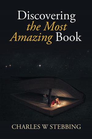 Cover of the book Discovering the Most Amazing Book by Bobbie Greer