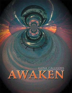 Cover of the book Awaken by Emmanuel Oghenebrorhie