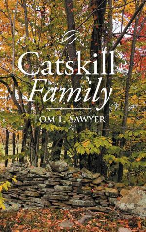 Book cover of Catskill Family