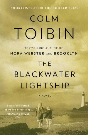 Cover of the book The Blackwater Lightship by Robert Reams