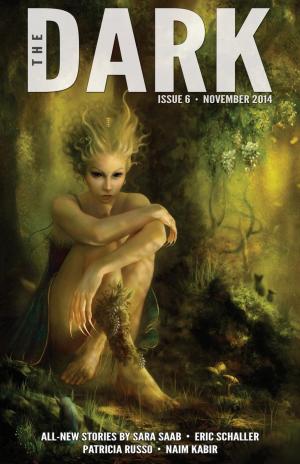 Cover of the book The Dark Issue 6 by Carrie Laben, Seanan McGuire, A.C. Wise, Steve Duffy
