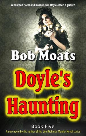 Cover of the book Doyle's Haunting by Ross Tarry