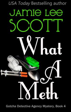 Cover of the book What A Meth by Jamie Lee Scott