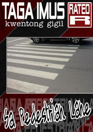 Cover of the book Sa Pedestrian Lane ( Tagalog Gay Erotica Drama) by Ted Evans