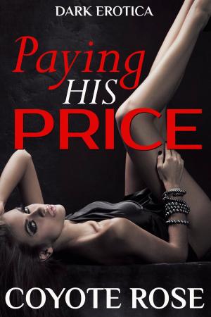 Cover of the book Paying His Price by JJ Stuart