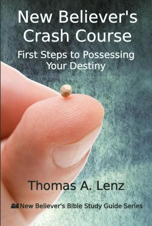 Cover of the book New Believer's Crash Course - First Steps to Possessing Your Destiny by A.Thomas