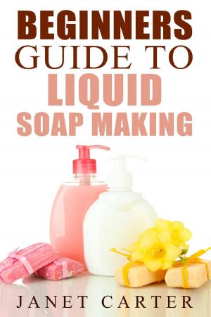 Cover of the book Beginners Guide To Liquid Soap Making by Francisco Alcaina