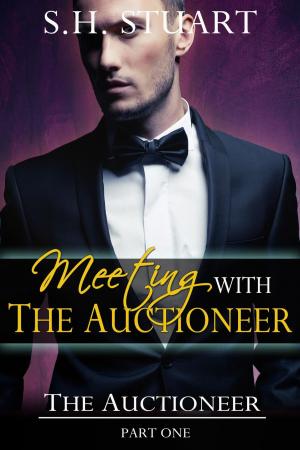 Cover of the book Meeting with The Auctioneer: The Auctioneer Part I by Lena Lane