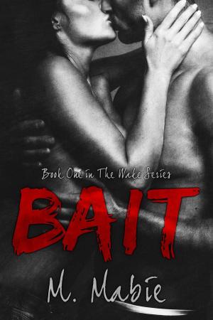 Cover of the book Bait by Carla Godfrey