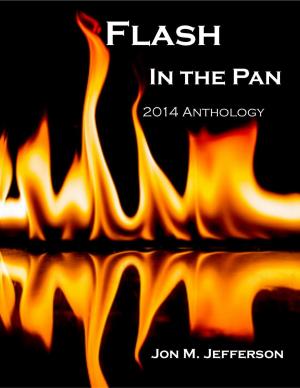 bigCover of the book Flash in the Pan by 