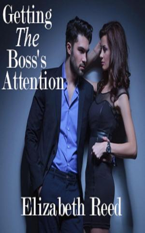 Cover of the book Getting the Boss’s Attention by Elizabeth Reed
