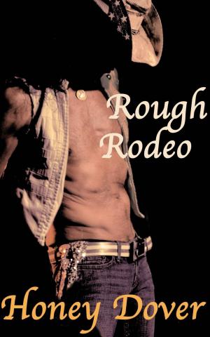 Cover of the book Rough Rodeo by A. Violet End