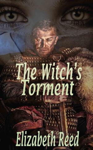 Cover of the book The Witch's Torment by Elizabeth Reed