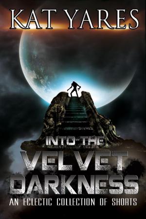 Cover of the book Into the Velvet Darkness by Amily Clark