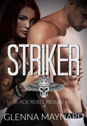 Cover of the book Striker by Jaden Wilkes