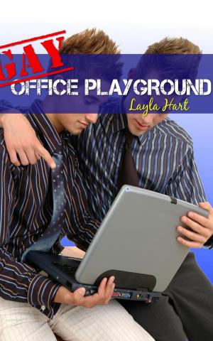 Cover of the book Gay Office Playground by Cari Quinn