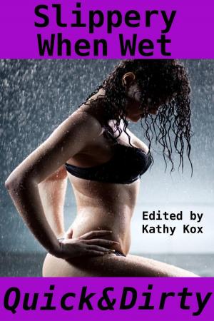 Cover of the book Slippery When Wet, Quick & Dirty by C. C. Passions