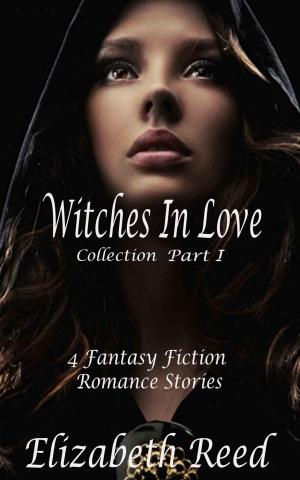 Cover of The Witches in Love Collection Part 1: 4 Fantasy Fiction Romance Stories