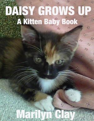 Cover of the book Daisy Grows Up: A Kitten Baby Book by Marilyn Clay